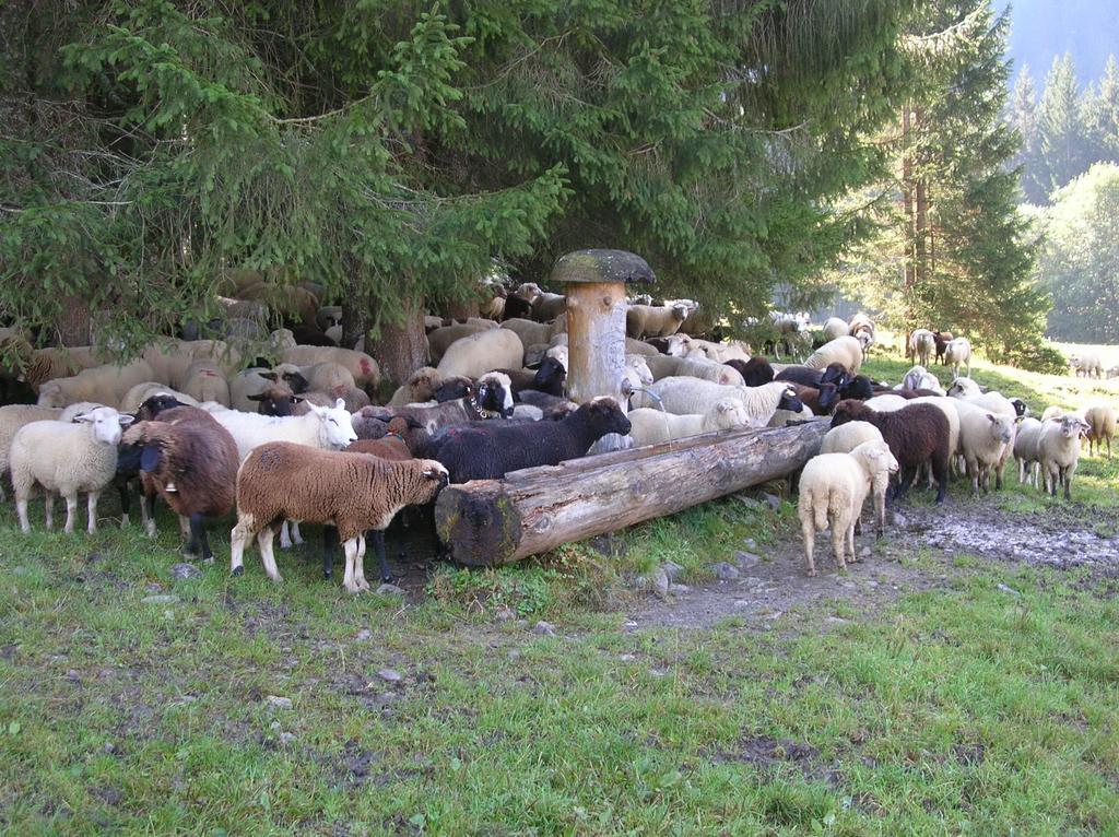 Ferienbauernhof Liebschick Villa Egg Kültér fotó